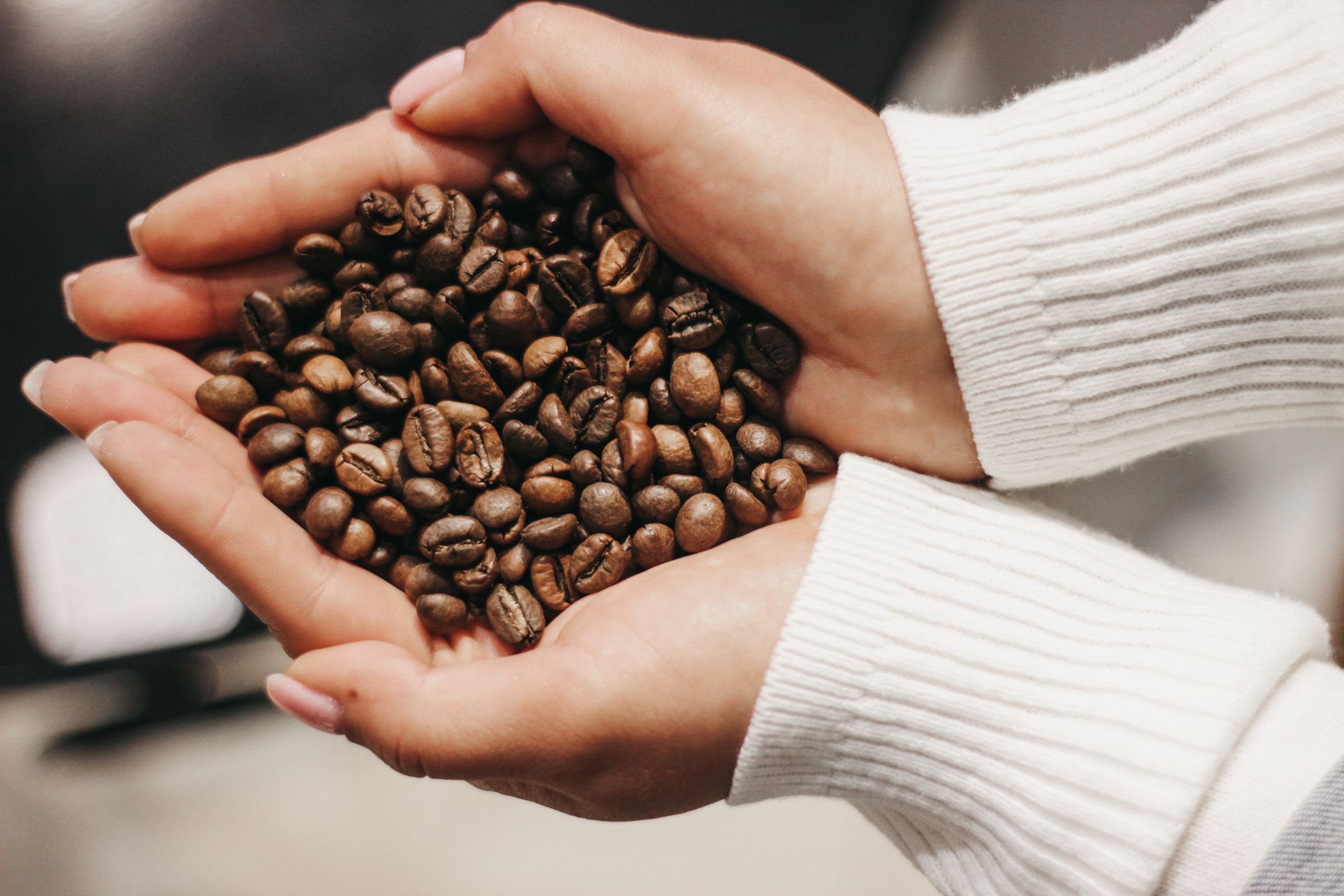 Zwei Hände halten geröstete Kaffeebohnen